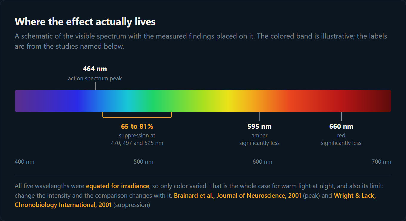 The visible spectrum with the melatonin action spectrum peak at 464 nm marked, the 470 to 525 nm band labeled 65 to 81 percent suppression, and amber and red marked as significantly less