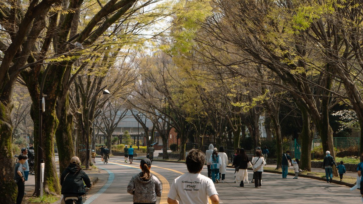 Joggers, walkers, and a cyclist on a tree-lined Tokyo park path